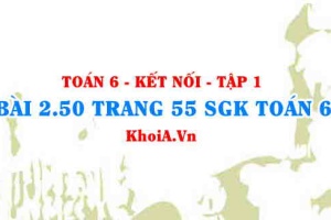 Bài 2.50 trang 55 SGK Toán 6 tập 1 Kết nối tri thức